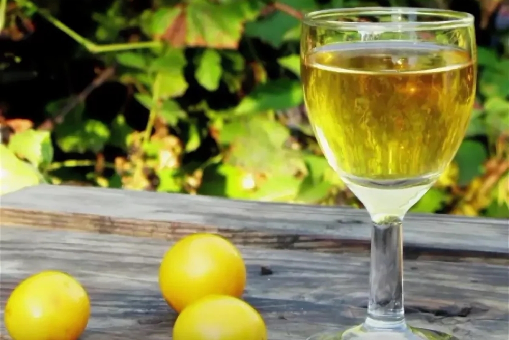 Вино из алычи – классический рецепт