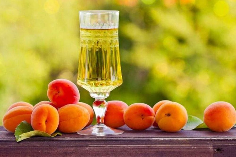 Абрикосовое вино – классический рецепт