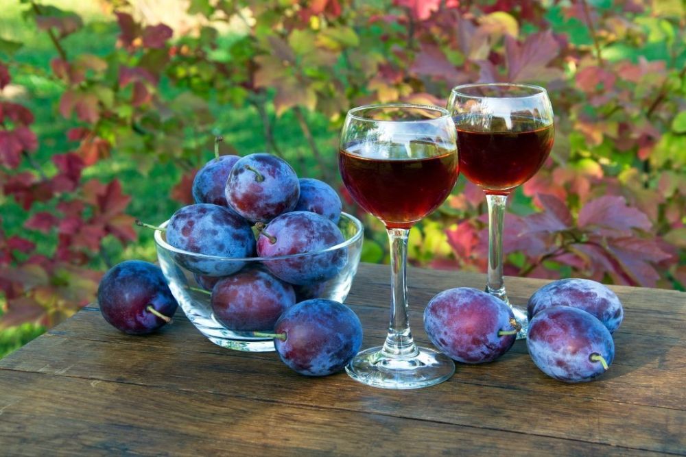 Вино из сливы – классический рецепт