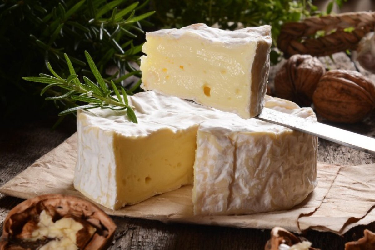 Сыр с белой плесенью камамбер фото
