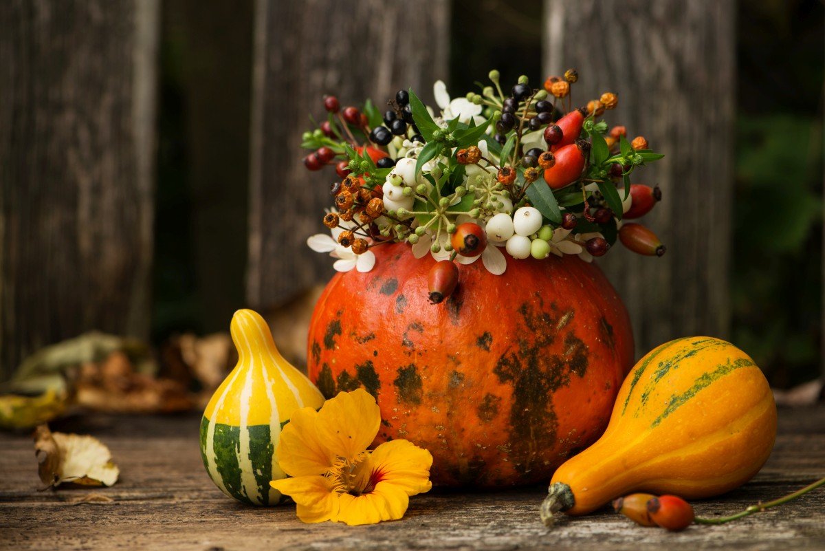 Осенняя ваза из тыквы своими руками - 69 фото