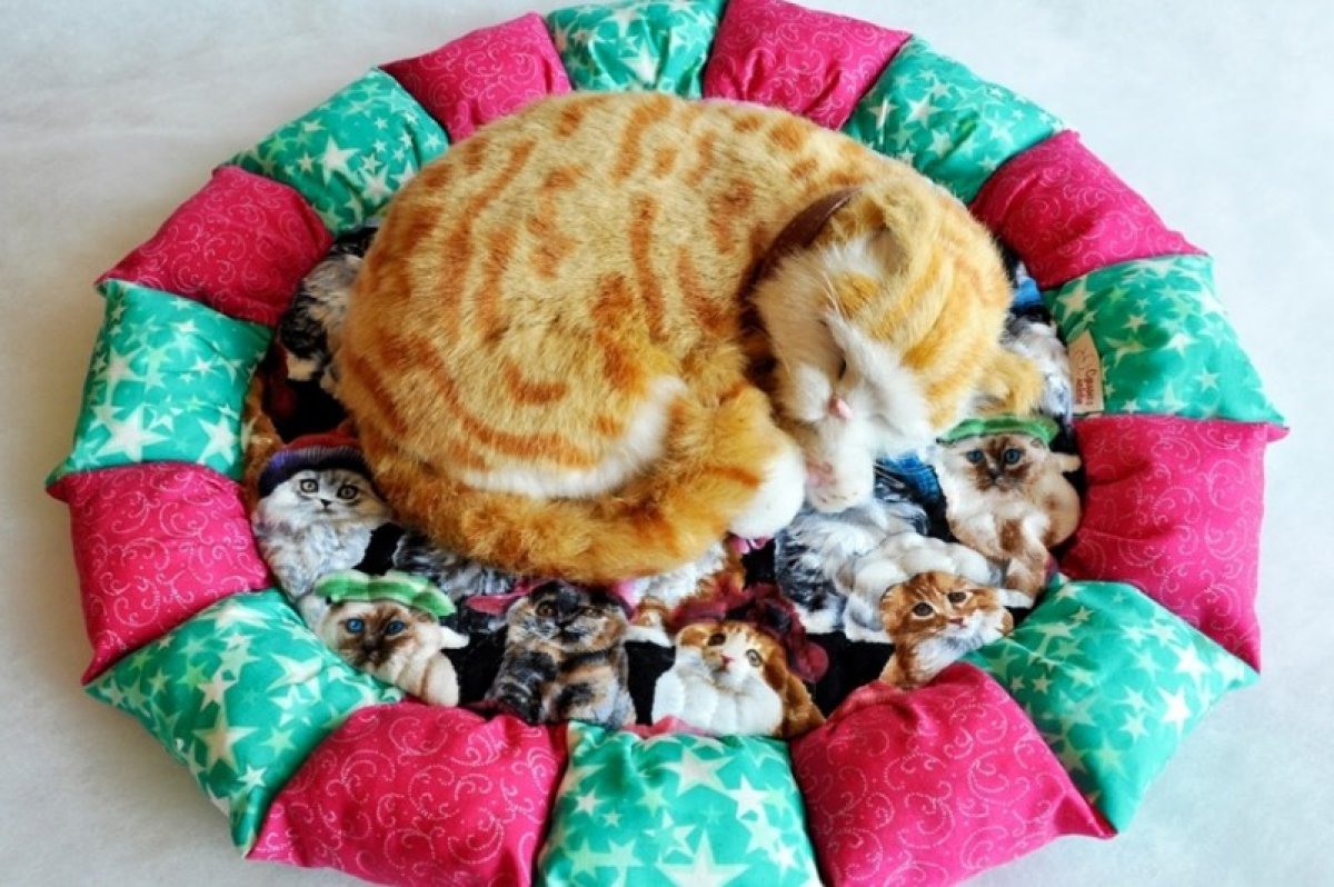 Подушка лежанка для кошки из старого свитера своими руками