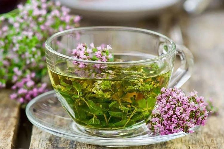 От ангины - Лечебные свойства чабреца