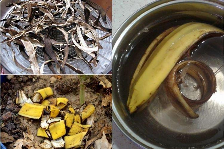 Подкормка банановой кожурой - Чем подкормить малину весной