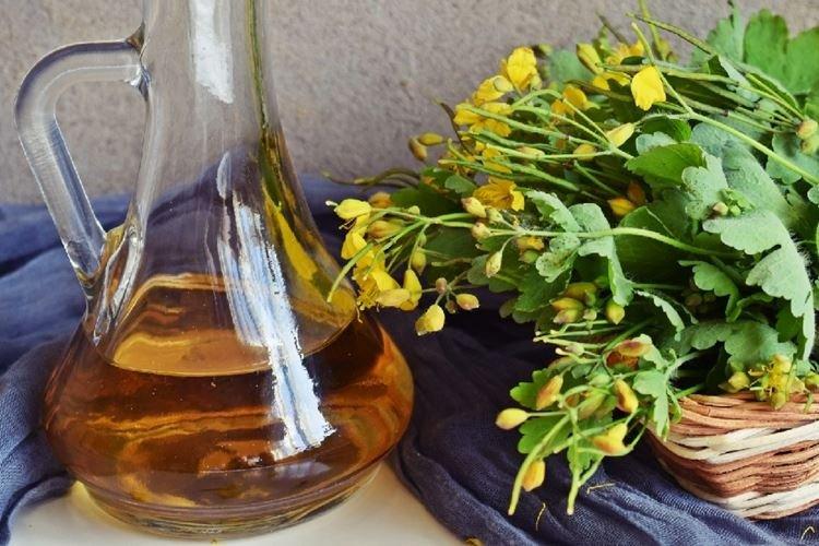 При гинекологических болезнях - Лечебные свойства чистотела