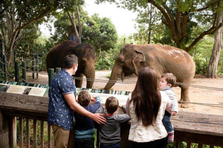 Поход в зоопарк - Что подарить мальчику на 5 лет