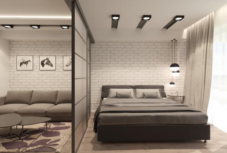 Гостиная, совмещенная со спальней - дизайн интерьера фото