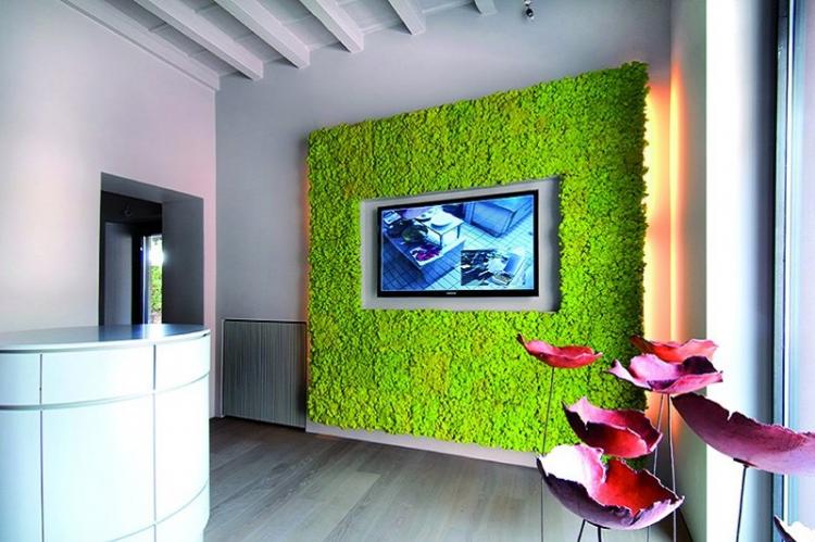 Фитостена - Дизайн стены с телевизором