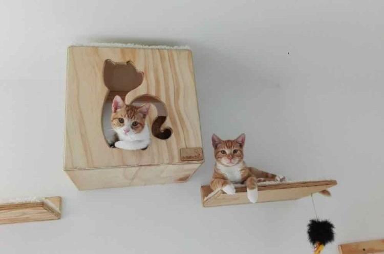 Домик для кошки своими руками - фото и идеи