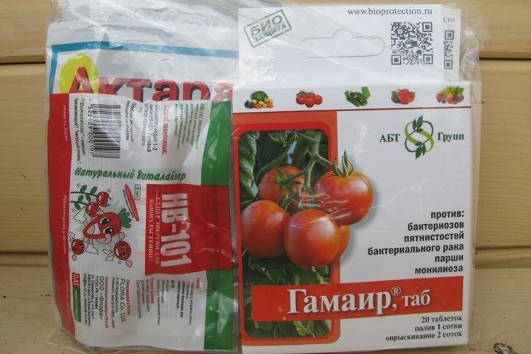 Гамаир - Чем обработать помидоры от фитофторы