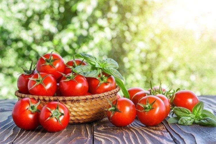 Хорошие сорта помидор низкорослые