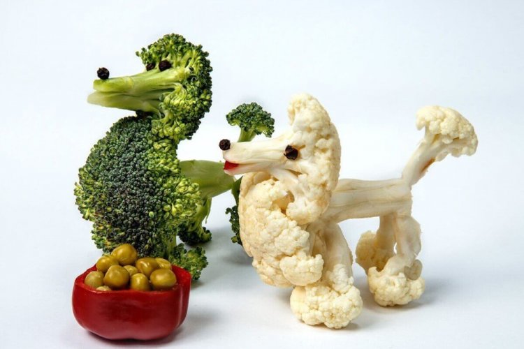 Поделки из овощей и фруктов - фото