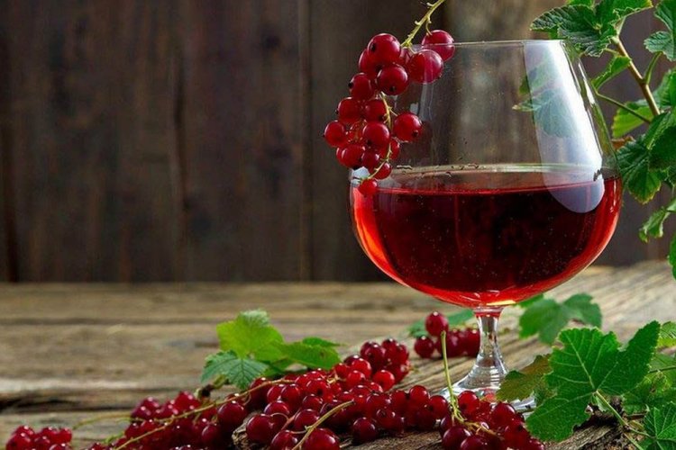 Вино из красной смородины с винными дрожжами