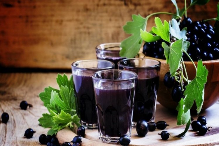 Вино из черной смородины – классический рецепт