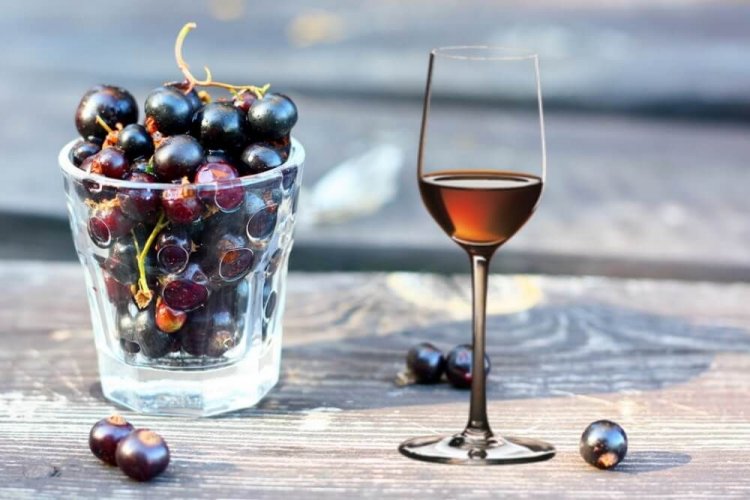 Вино из черной смородины на живых дрожжах