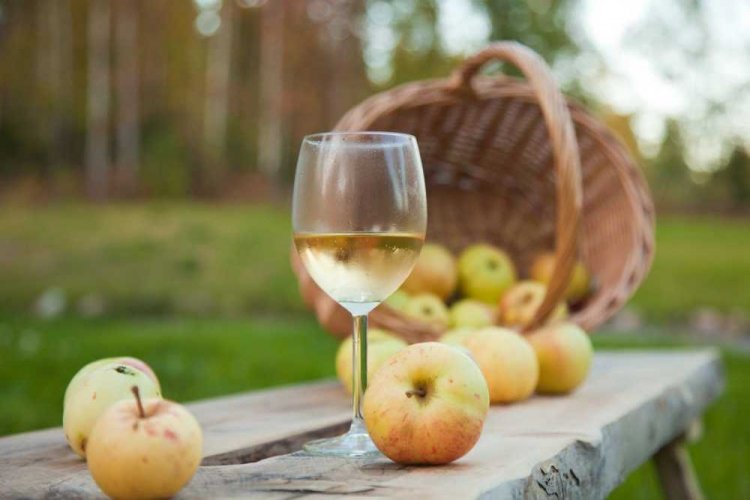 Фруктовое вино из абрикосов и яблок