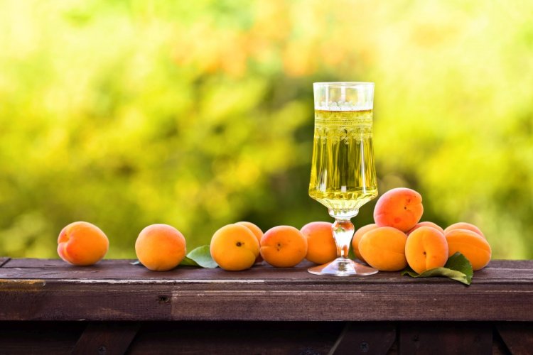 20 легких рецептов наливки из абрикосов