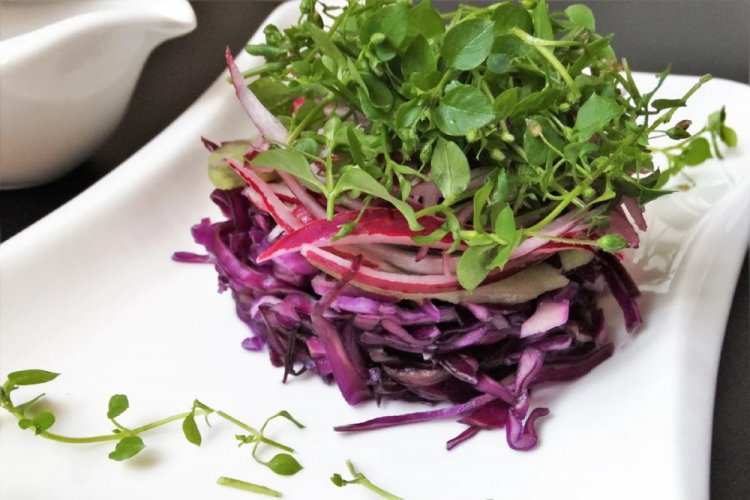 Салат из краснокочанной капусты для пикника