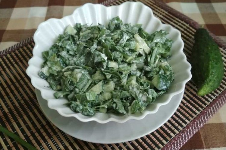 Зеленый салат из щавеля с огурцами и укропом