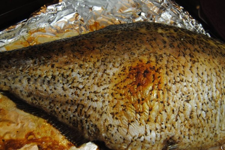 Лещ, запеченный в духовке: рецепты приготовления рыбы целиком и порциями