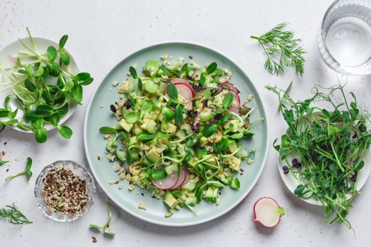 15 салатов с микрозеленью, которые можно приготовить на скорую руку
