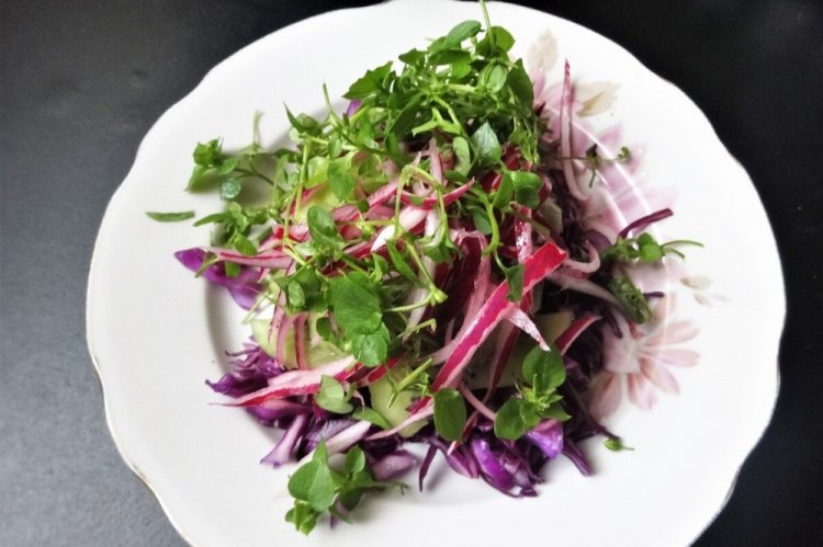 Салат с капустой и микрозеленью