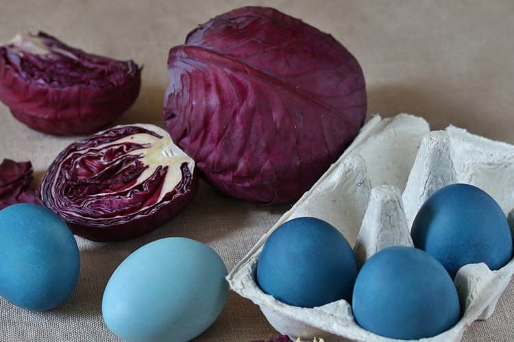 Как покрасить яйца фиолетовой капустой