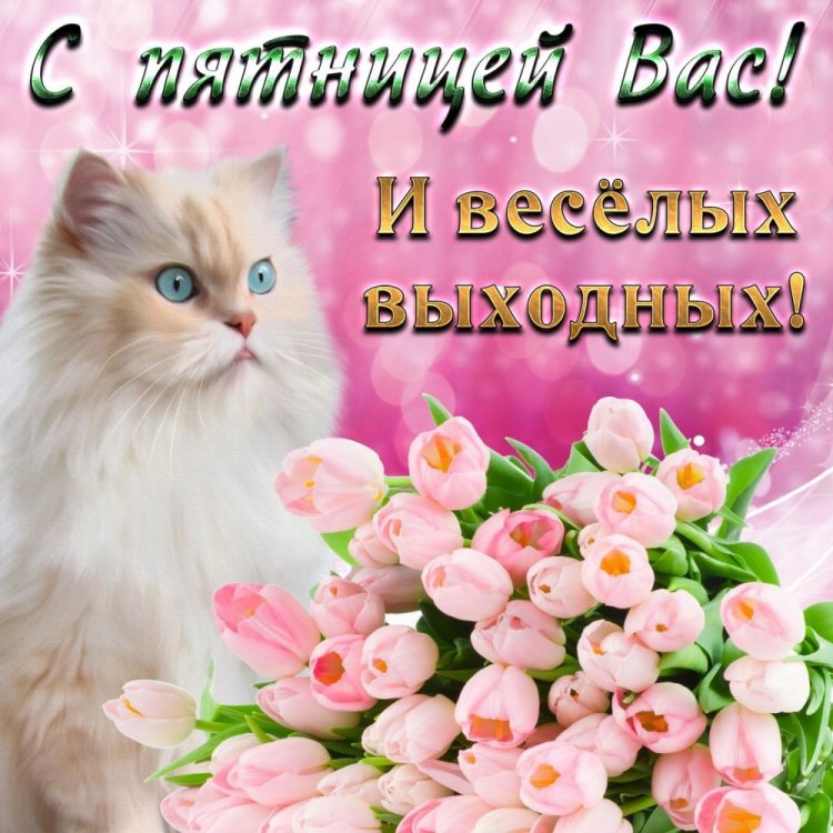 Картинки «С пятницей! Хороших выходных!»