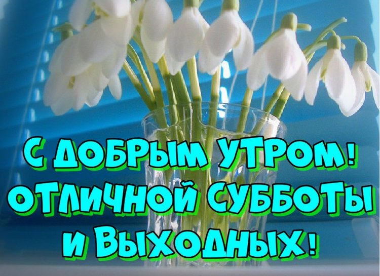 Картинки «Доброе весеннее утро субботы!»