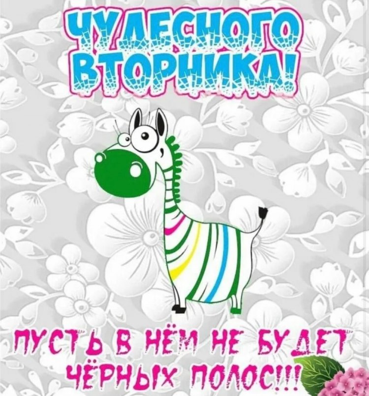 Прикольные и смешные картинки «Доброе утро вторника!»