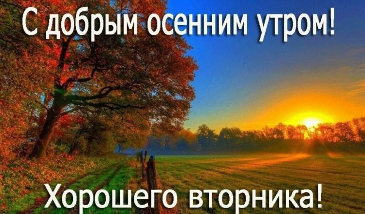 Картинки «Доброе осеннее утро вторника!»