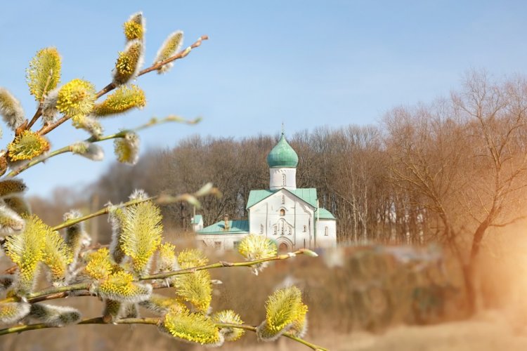 Поздравления с Вербным воскресеньем коллегам