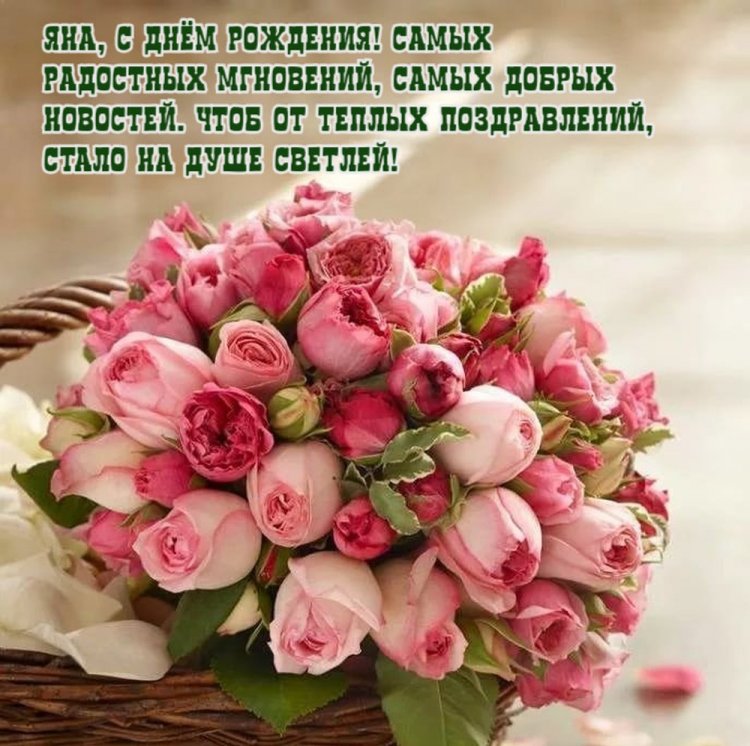Красивые и оригинальные открытки «С Днем рождения, Яна!» Красивые и оригинальные открытки «С Днем рождения, Яна!»