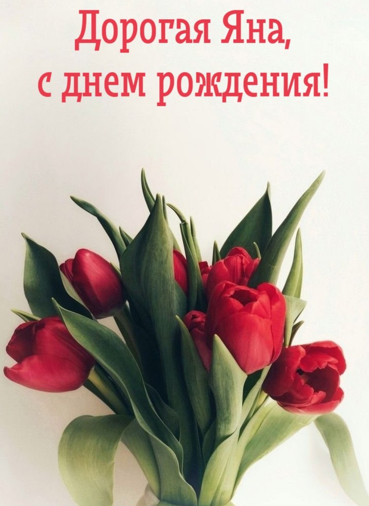 Трогательные открытки и картинки «С Днем рождения, Яна!» Трогательные открытки и картинки «С Днем рождения, Яна!»