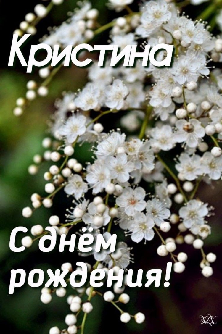 Красивые и оригинальные открытки «С Днем рождения, Кристина!» Красивые и оригинальные открытки «С Днем рождения, Кристина!»