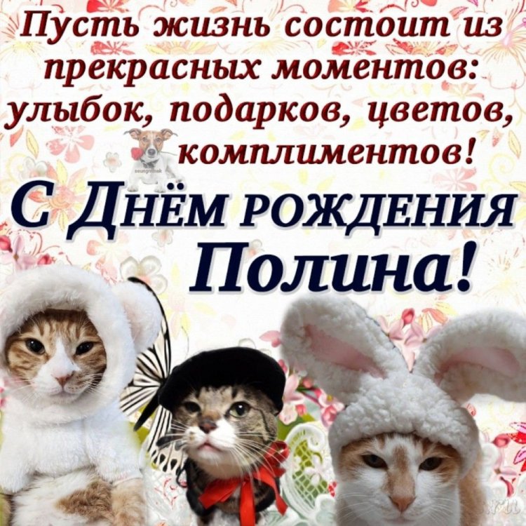 Красивые и оригинальные открытки «С Днем рождения, Полина!» Красивые и оригинальные открытки «С Днем рождения, Полина!»
