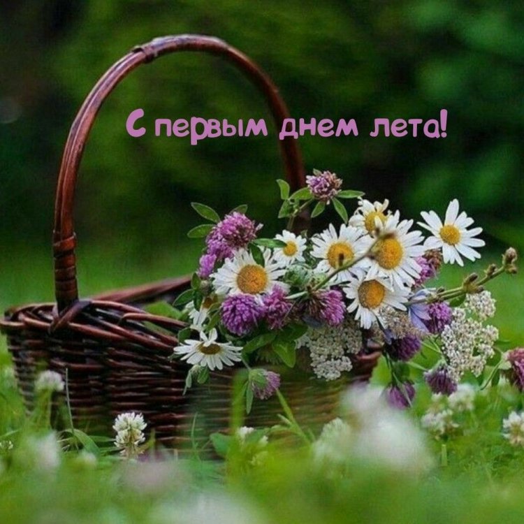 Трогательные открытки и картинки «С первым днем лета!» Трогательные открытки и картинки «С первым днем лета!»