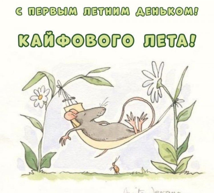 Прикольные открытки и картинки «С первым днем лета!» Прикольные открытки и картинки «С первым днем лета!»