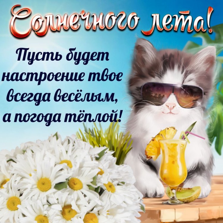 Прикольные открытки и картинки «С первым днем лета!» Прикольные открытки и картинки «С первым днем лета!»