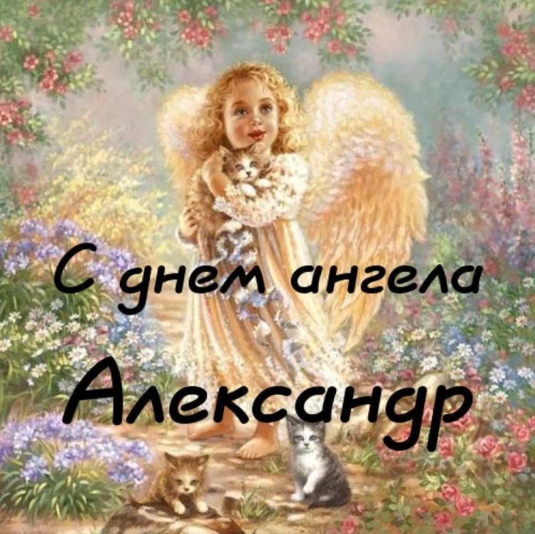 Красивые и оригинальные открытки на День ангела Александру Красивые и оригинальные открытки на День ангела Александру
