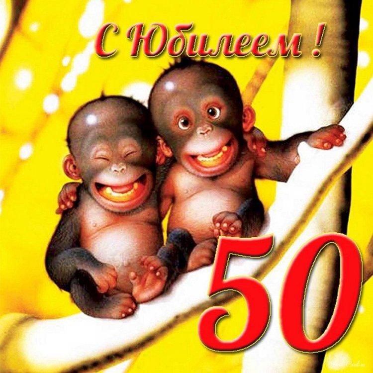 Прикольные открытки и картинки с юбилеем 50 лет женщине Прикольные открытки и картинки с юбилеем 50 лет женщине