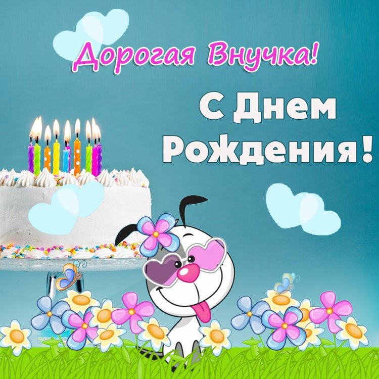 Прикольные открытки и картинки «С Днем рождения!» внучке Прикольные открытки и картинки «С Днем рождения!» внучке