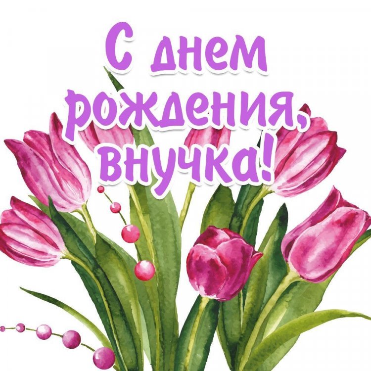 Открытки и картинки «С Днем рождения!» внучке от дедушки Открытки и картинки «С Днем рождения!» внучке от дедушки