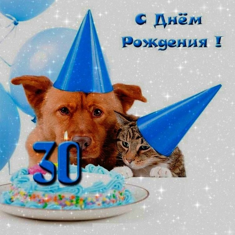Прикольные открытки и картинки с юбилеем 30 лет девушке Прикольные открытки и картинки с юбилеем 30 лет девушке