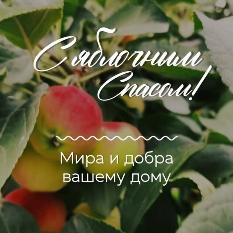 Трогательные открытки и картинки на Яблочный Спас Трогательные открытки и картинки на Яблочный Спас