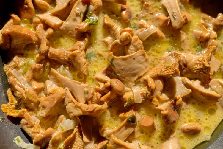 Лисички с луком в сметане Лисички с луком в сметане