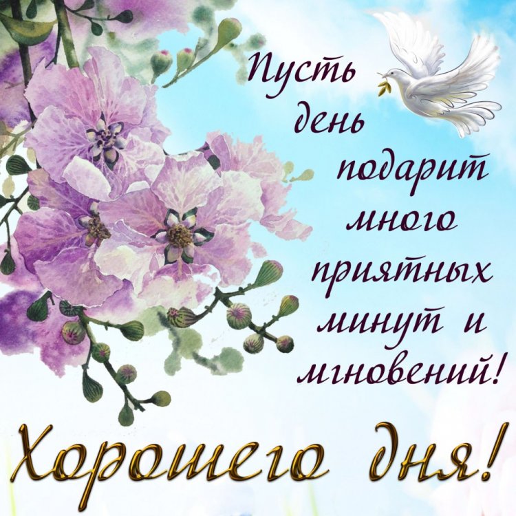 Нежные и милые пожелания хорошего дня Нежные и милые пожелания хорошего дня