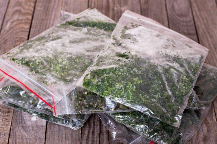 Замороженный укроп в пластиковых пакетах на зиму