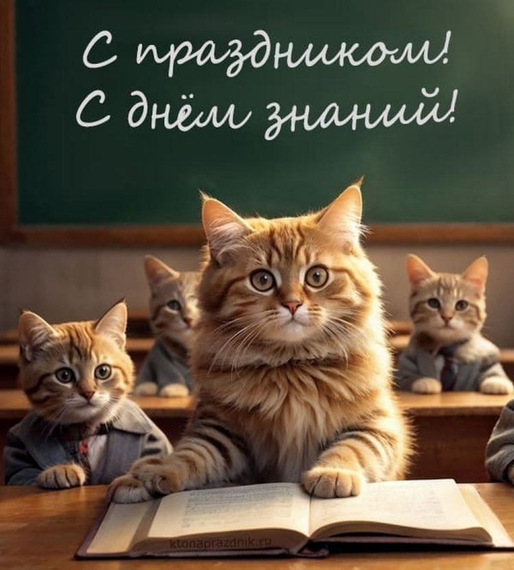 Прикольные открытки на 1 сентября Прикольные открытки на 1 сентября