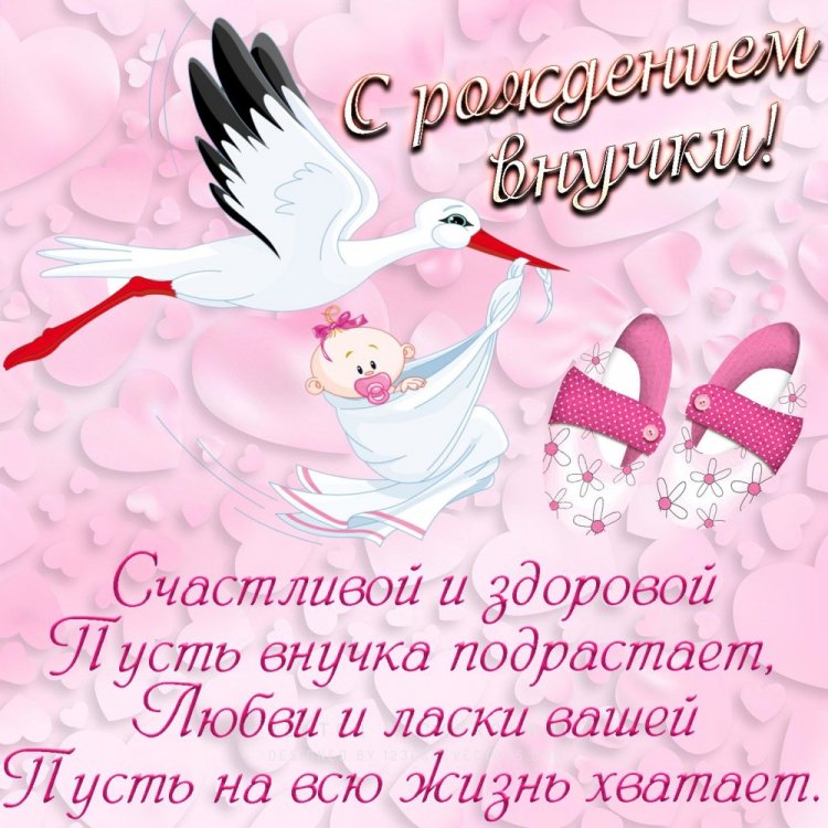 Короткие и красивые поздравления с рождением внучки